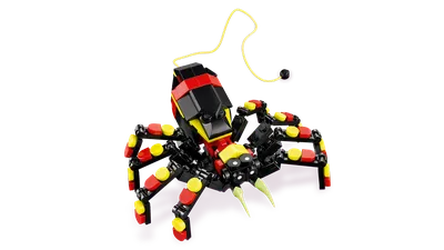 Wild Animals: Surprising Spider