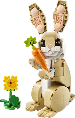 Cute Bunny