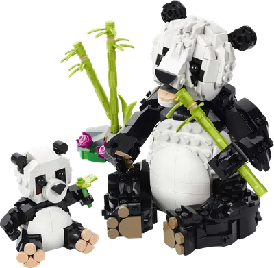 Wild Animals: Panda Family