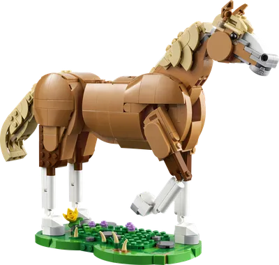 Beautiful Horse