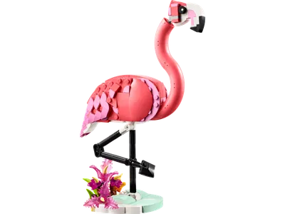 Wild Animals: Pink Flamingo