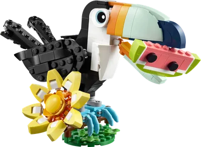 Wild Animals: Tropical Toucan