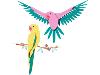 The Fauna Collection – Macaw Parrots