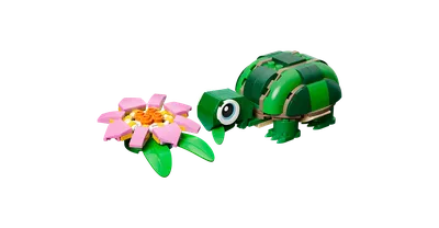 Turtle with a Water Lily Flower