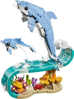 Sea Animals: Beautiful Dolphins