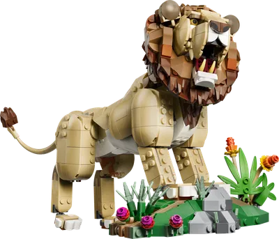 Wild Animals: Majestic Lion