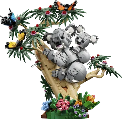 Wild Animals: Family of Koalas