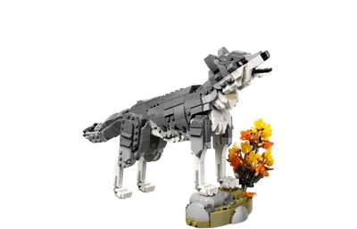 Forest Animals: Gray Wolf