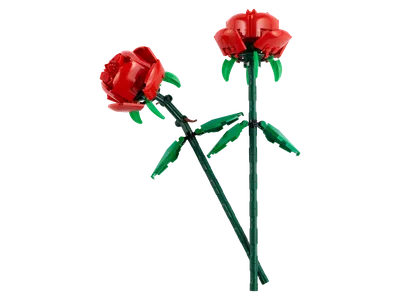 Roses