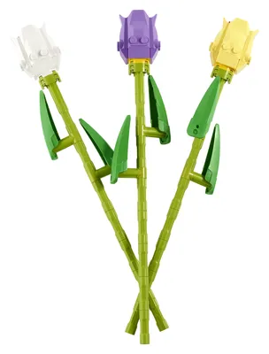 Tulips