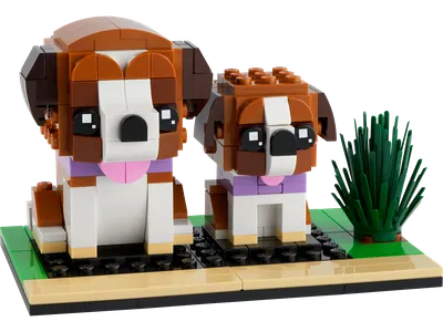 St. Bernard