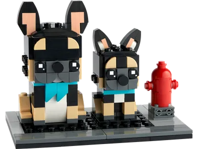 Pets - French Bulldog