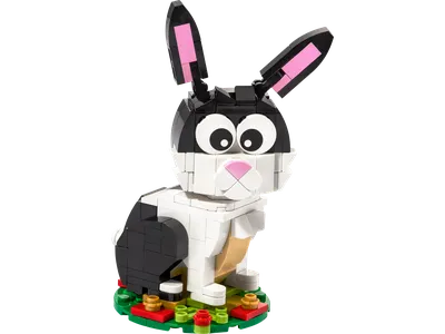 Year of the Rabbit