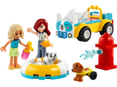 Dog-Grooming Car