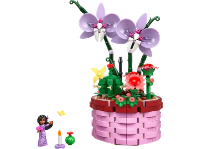 Isabela's Flowerpot