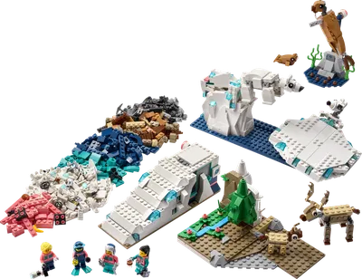 Arctic Animals Science Kit