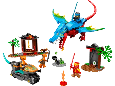 Ninja Dragon Temple