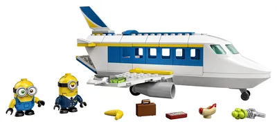 Minion Pilot in Training