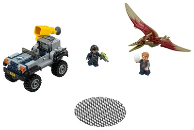 Pteranodon Chase