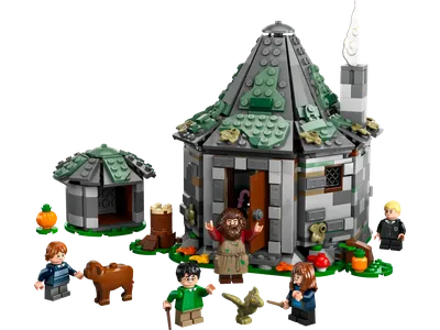 Hagrid's Hut: An Unexpected Visit