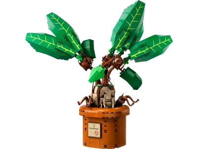 Mandrake
