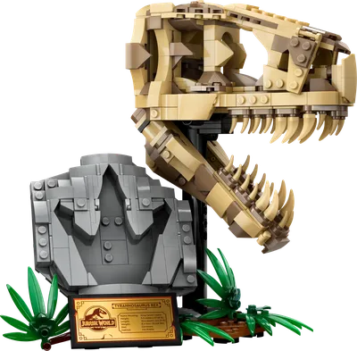 Dinosaur Fossils: T. rex Skull
