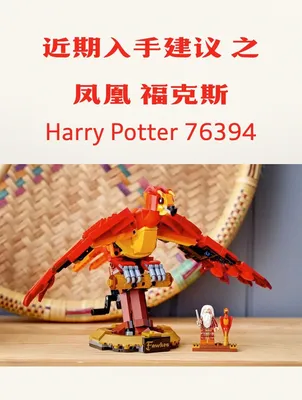 近期入手建议之-Harry Potter 76394 凤凰