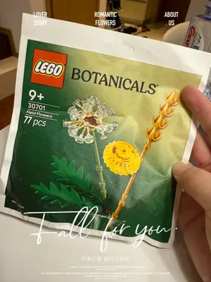 這包清新野花很香呀！