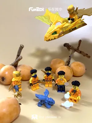 LEGO乐高人仔－幻影忍者系列 阿林