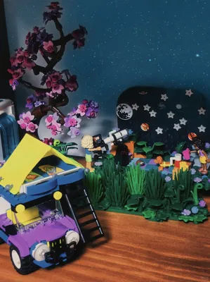 一起来观星🌌