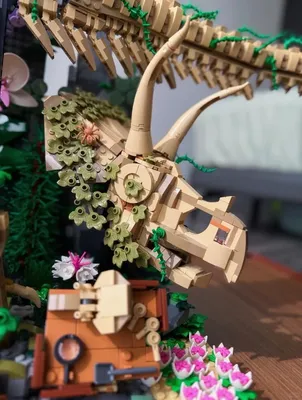 🦖侏罗纪·遗失的世界🌴