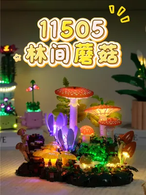 11505林间蘑菇整片森林搬进你家，美到窒息