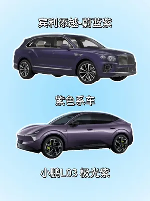 两种紫色，两种截然不同的高级氛围感