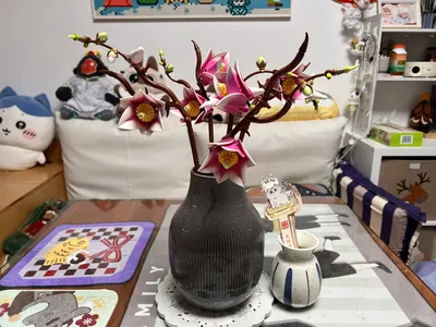 乐高·木兰花枝