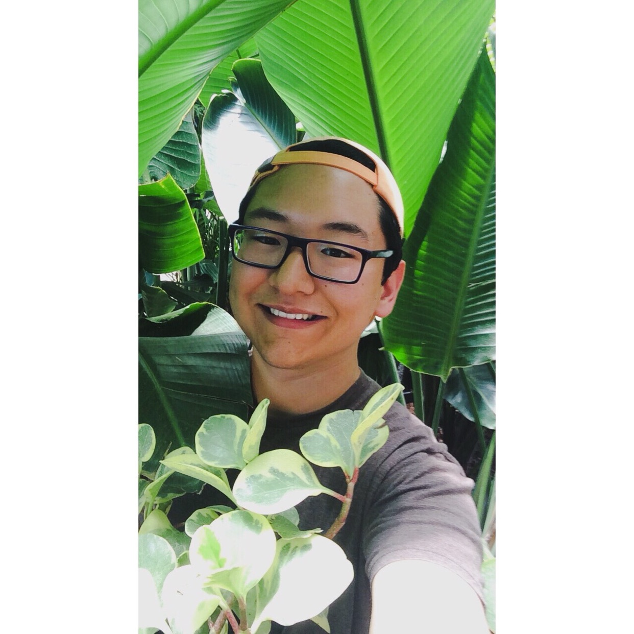 Profile Picture