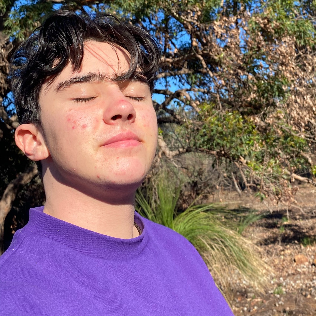 Profile photo of Levi (@lavenleviathan)