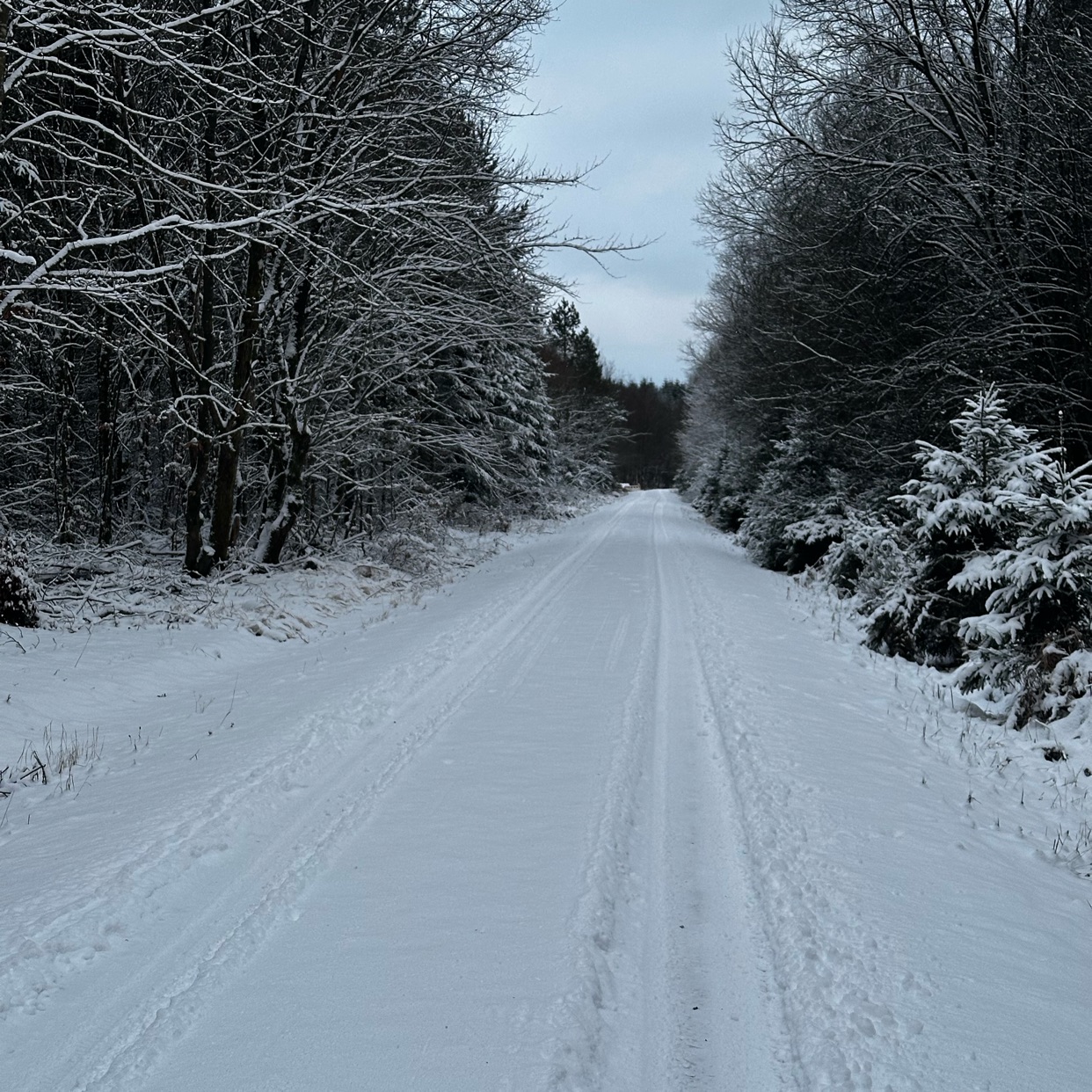 Photo of ratma09