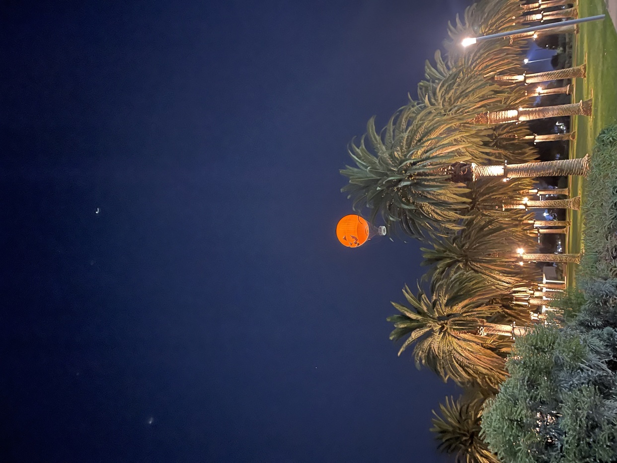 Photo by ricayotorres