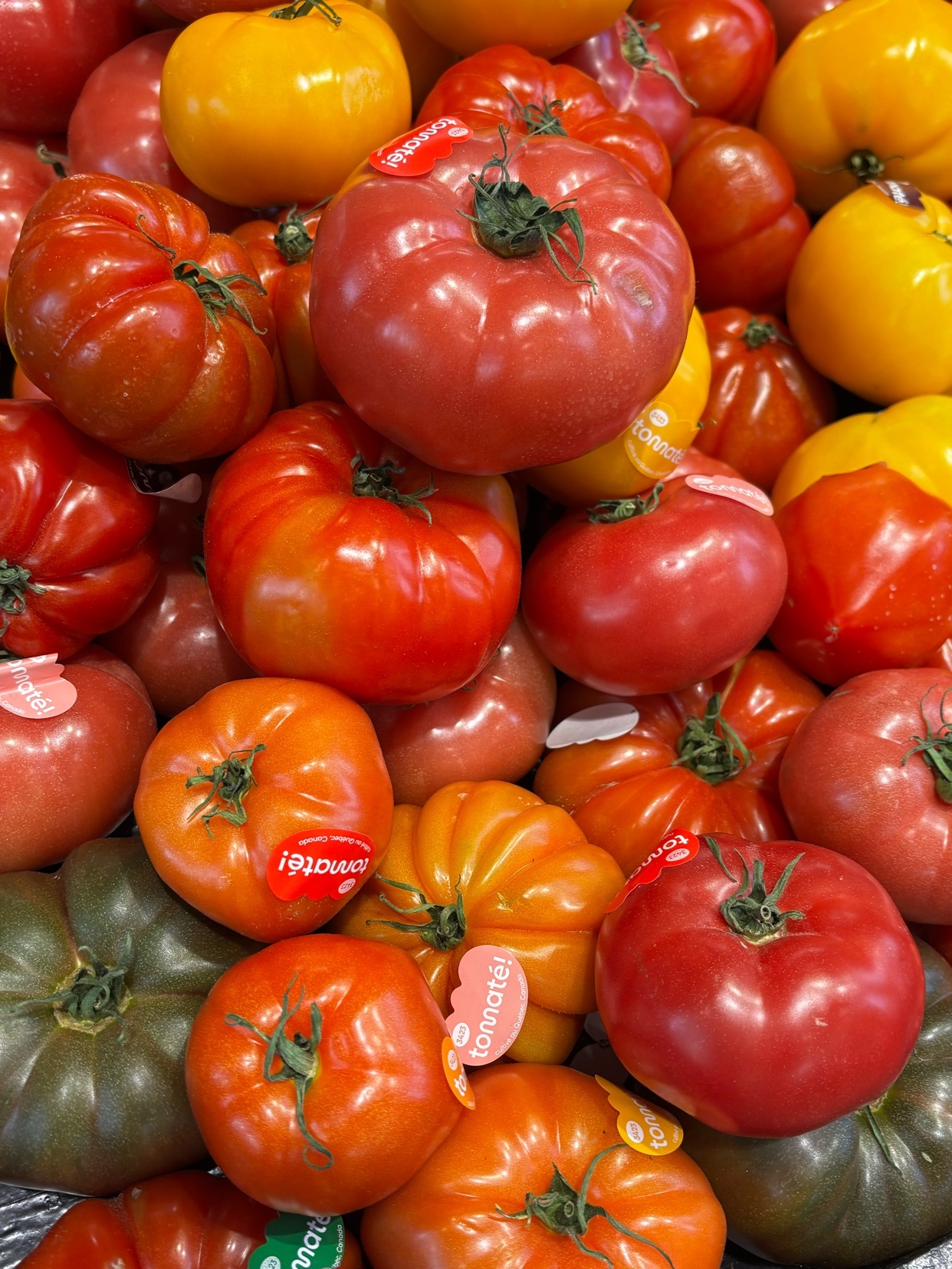 Photo by alex.st.amour