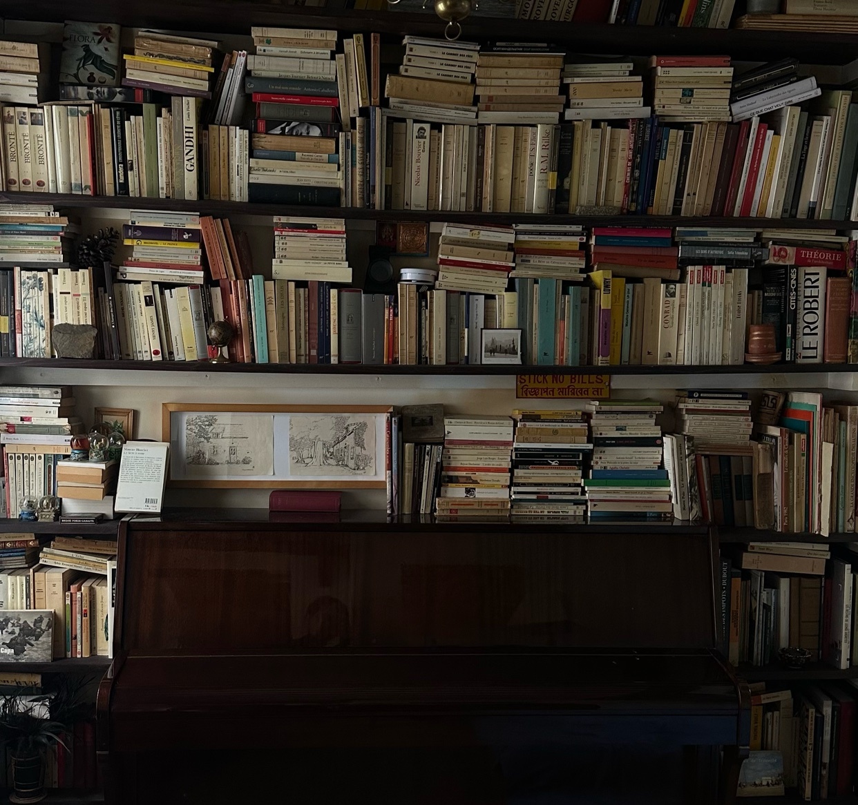 Photo by fermendigil