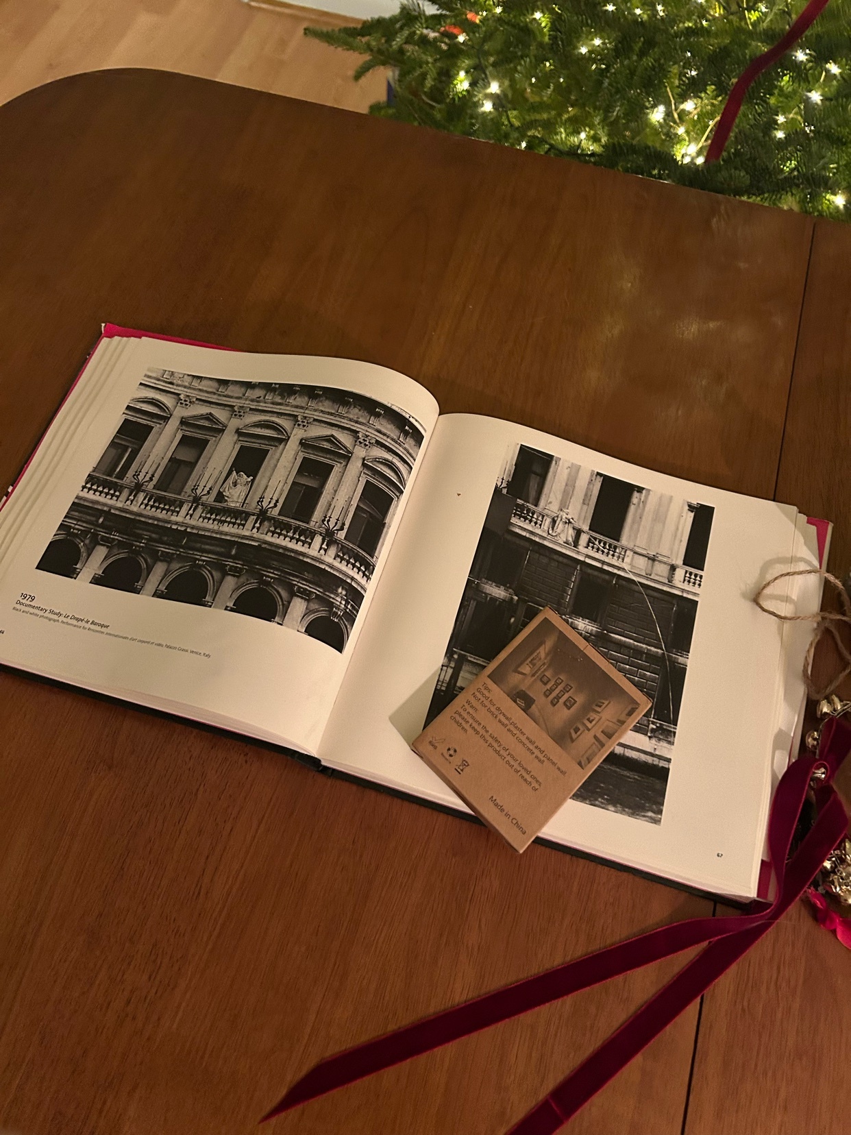 Photo by aphrodite.aphroditus