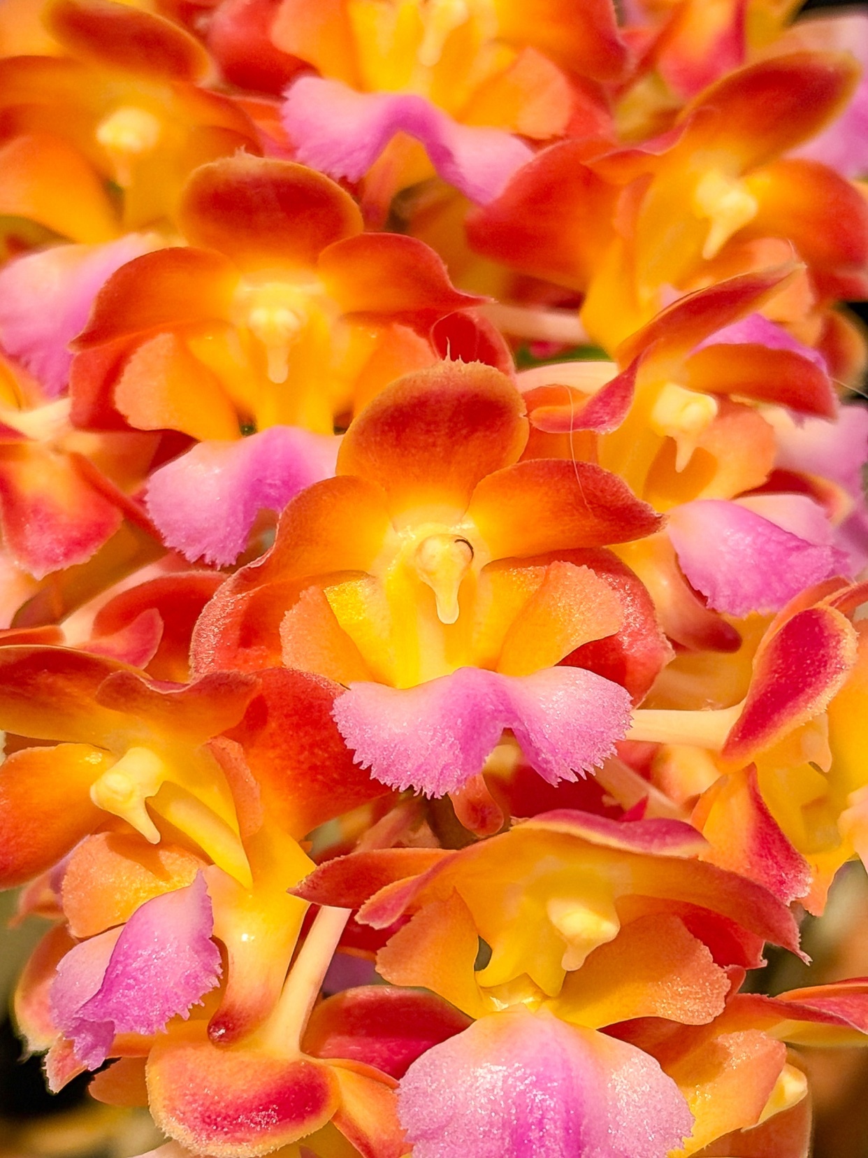 Photo by eduardo-1985