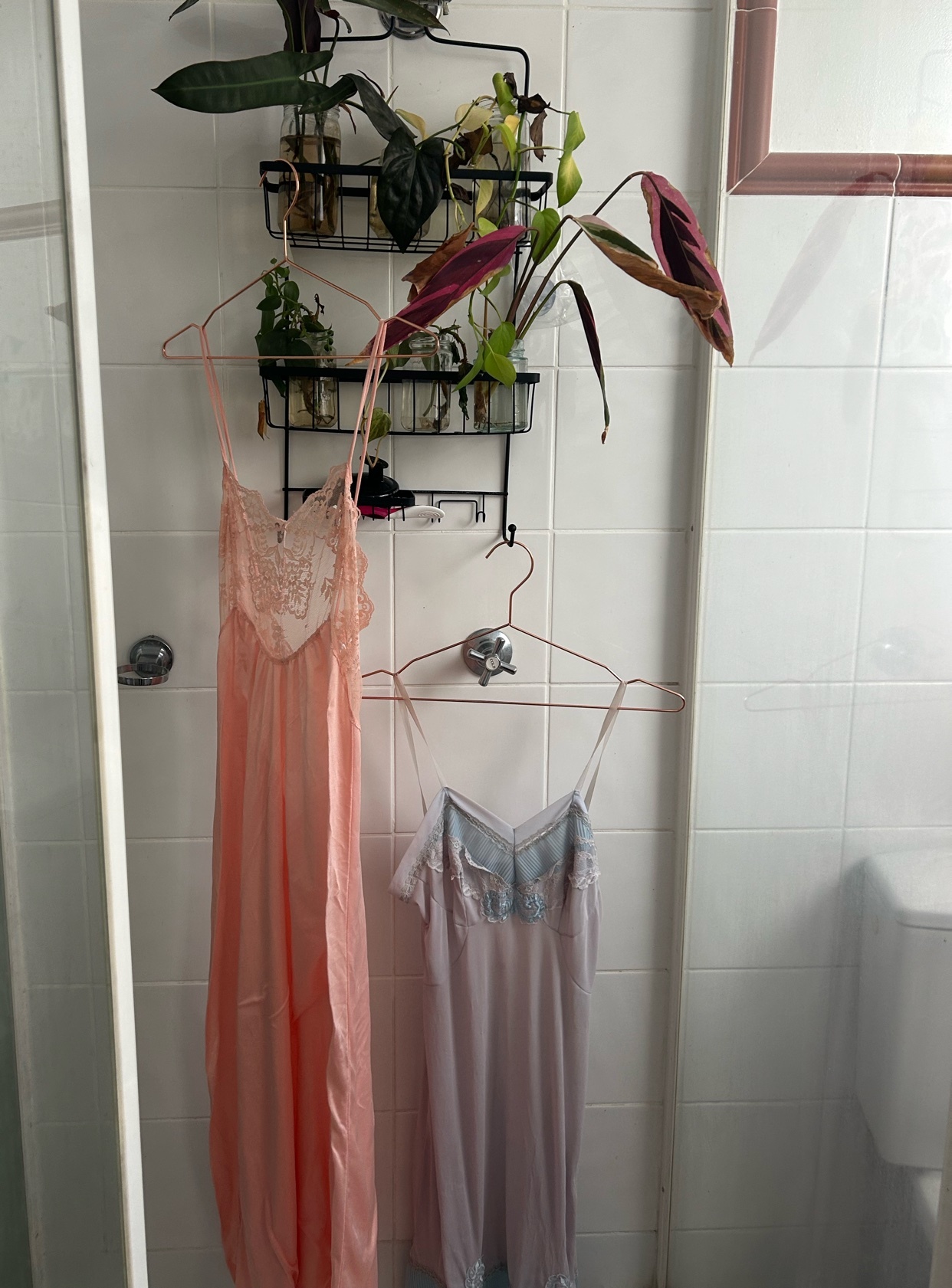 Two delicate slip dresses hang on hangers in a bathroom, adorned with plants on a shelf above. The dresses feature lace trim and a vintage aesthetic.