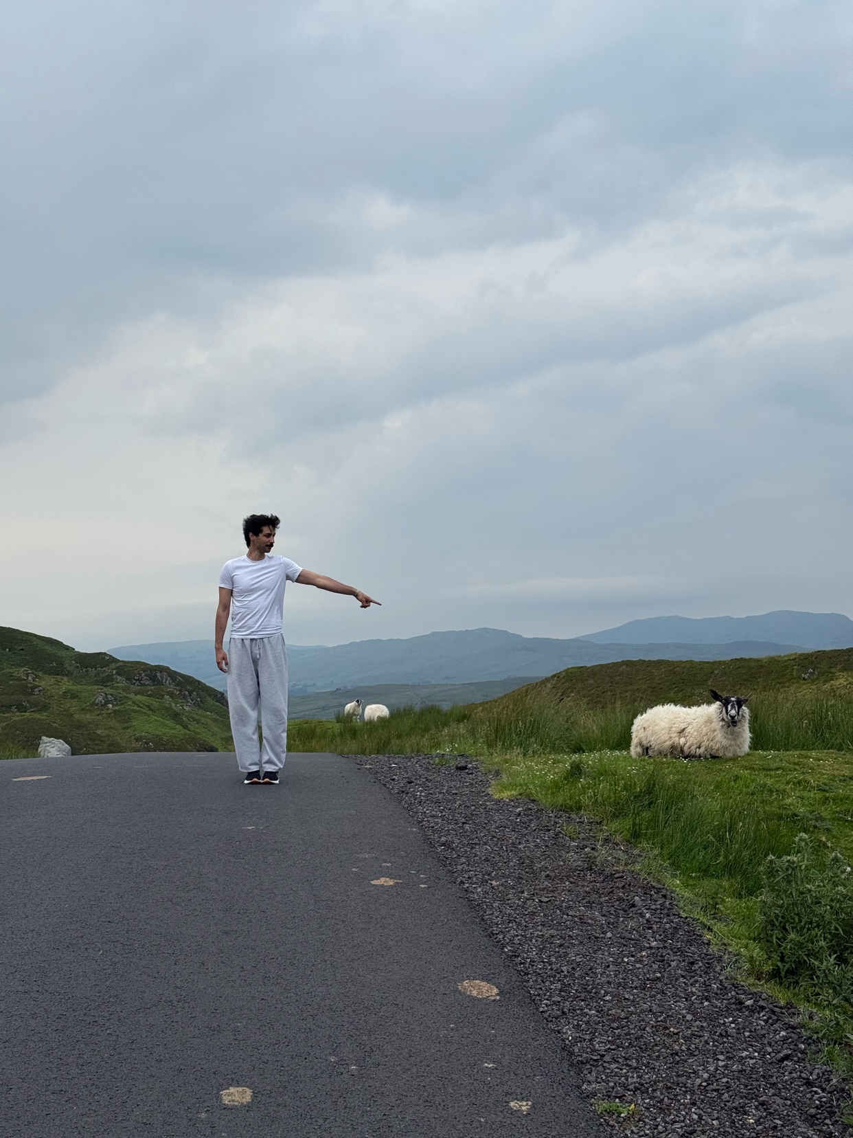 A man in a white t-shirt and grey sweatpants points towards a sheep in a grassy field. The scene is set in a rural landscape with rolling hills under an overcast sky.