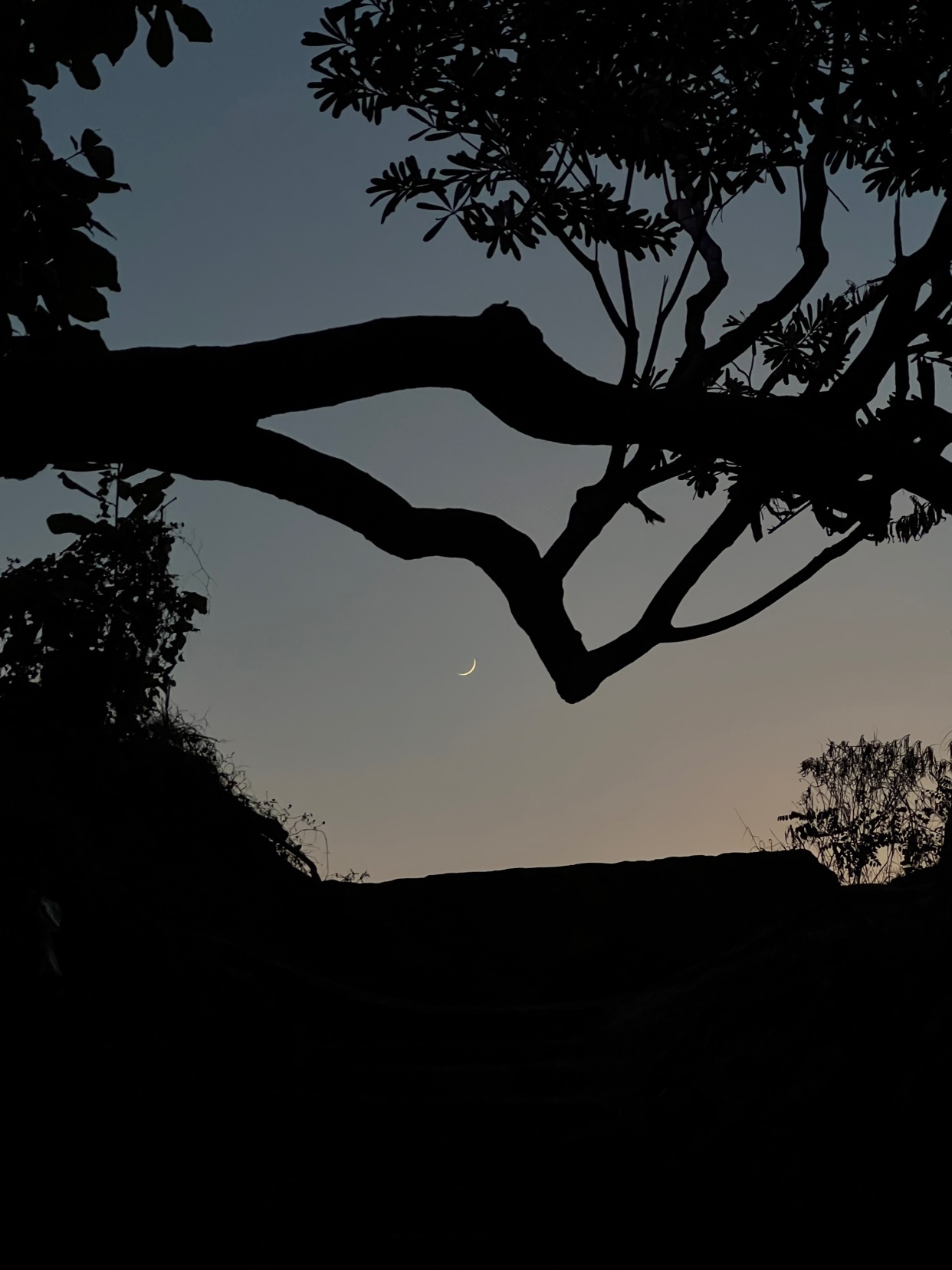 Photo by soyunplatano