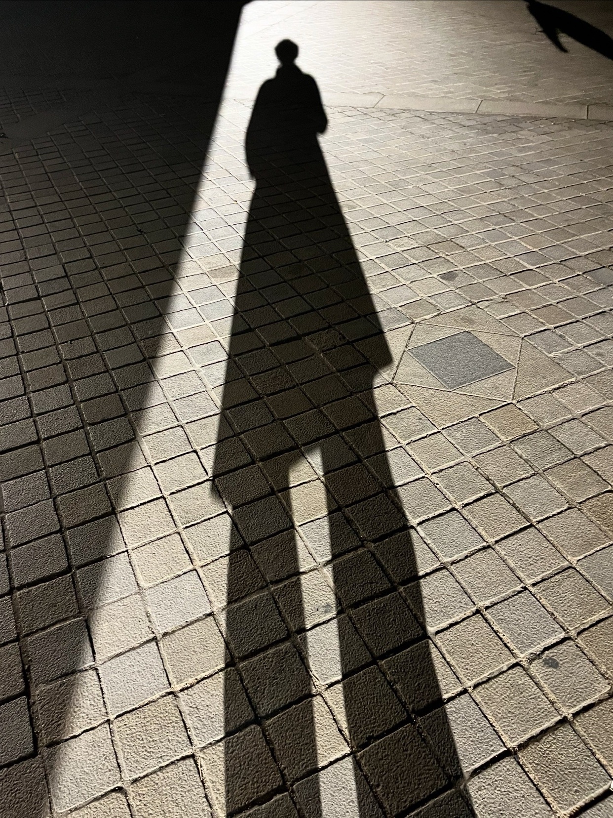 Photo by lilian_vltgr