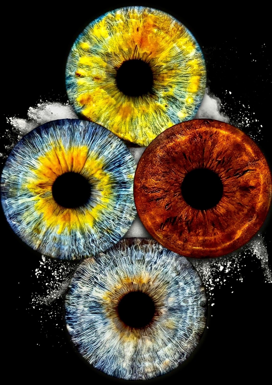 A close-up image showcases four eyes with different colored irises. The eyes are arranged in a circular pattern against a black background.