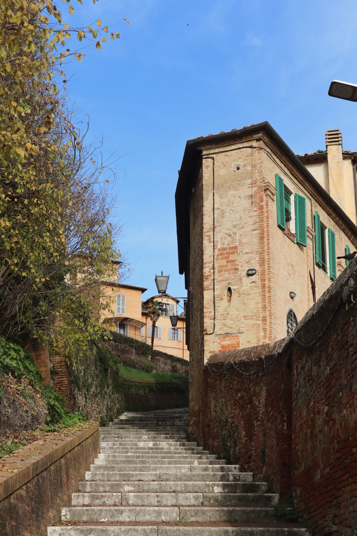 Photo by austinsdalley