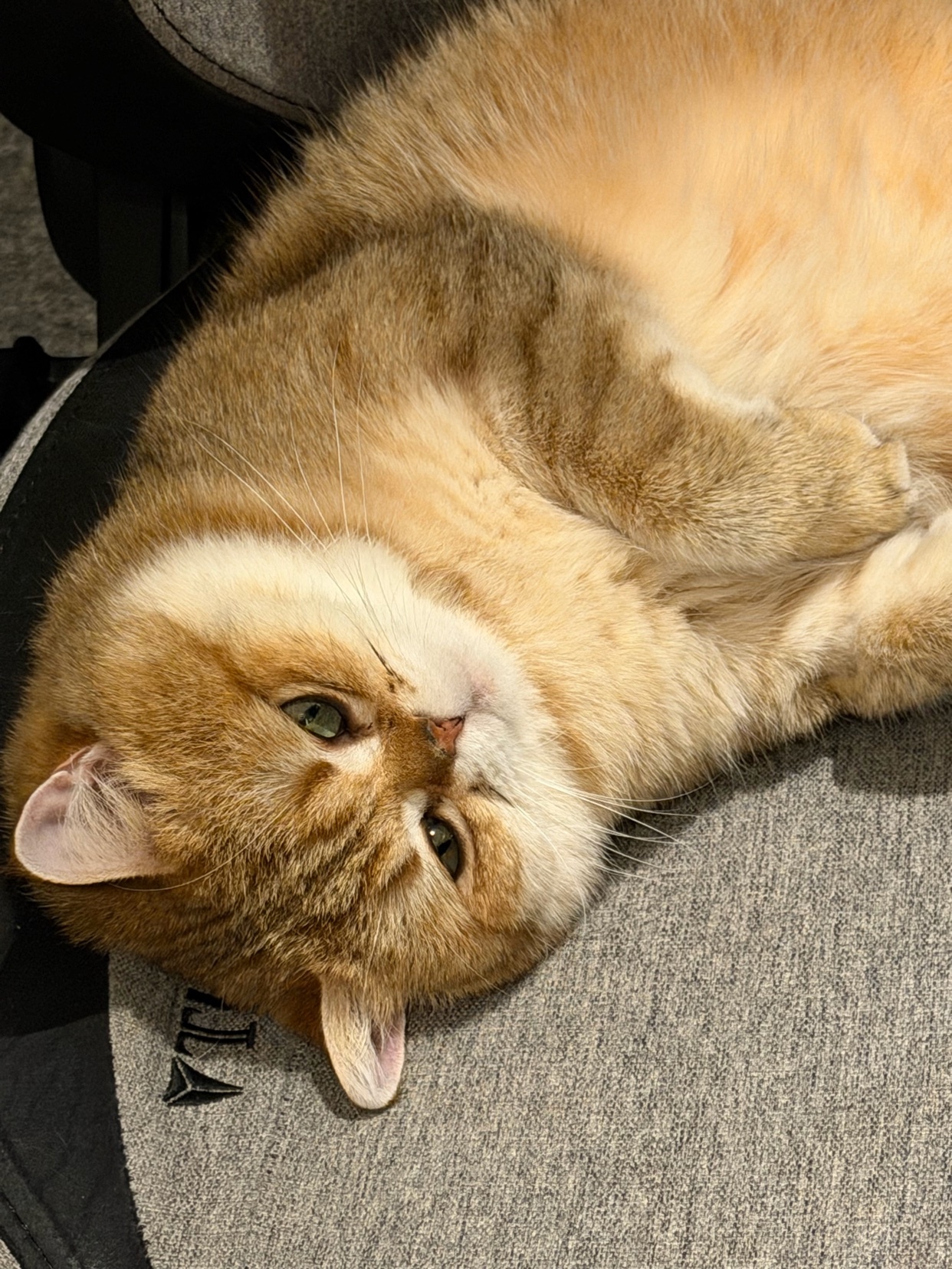 Photo by eduardo-1985