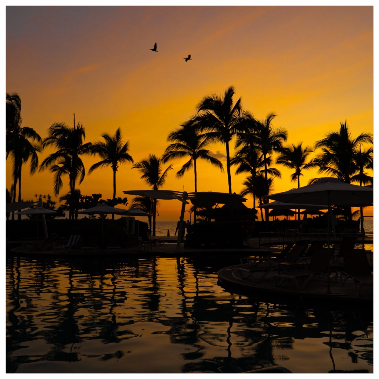 Photo by fitzpattymac21